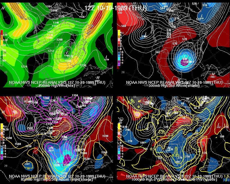 reanalysis_image.gif