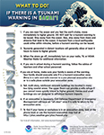 If There is a Tsunami Warning in Hawaiʻi