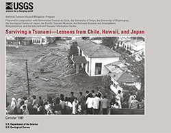 Surviving a Tsunami