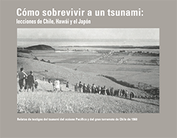 Cómo sobrevivir a un tsunami:lecciones de Chile, Hawái y el Japón