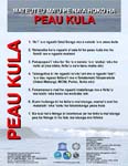 Tsunami Prepareness Tongan