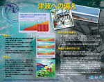 Tsunami Awareness Poster