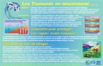 Tsunami Awareness Poster