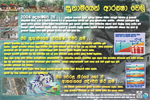 Tsunami Awareness Poster