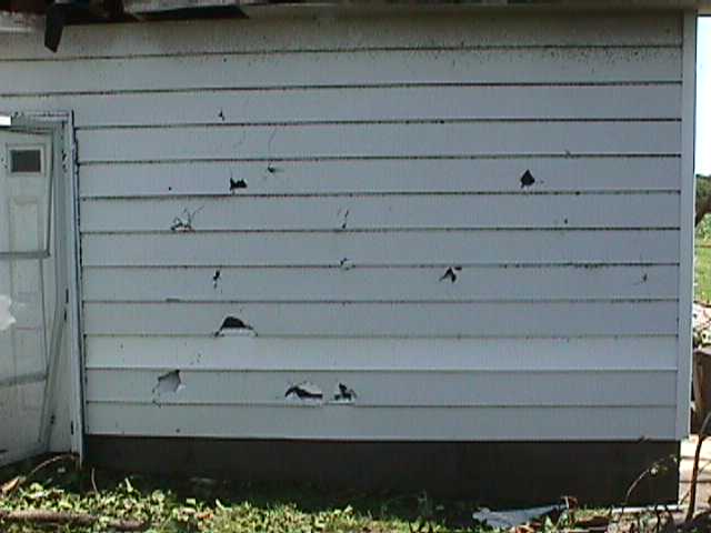 Flower buds off a Tulip tree acted as projectiles which went through the siding of this home