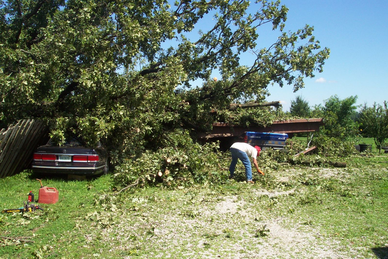 Very large tree fallen on a carport, crushing several cars. This damage was caused by microburst winds before the tornado formed.