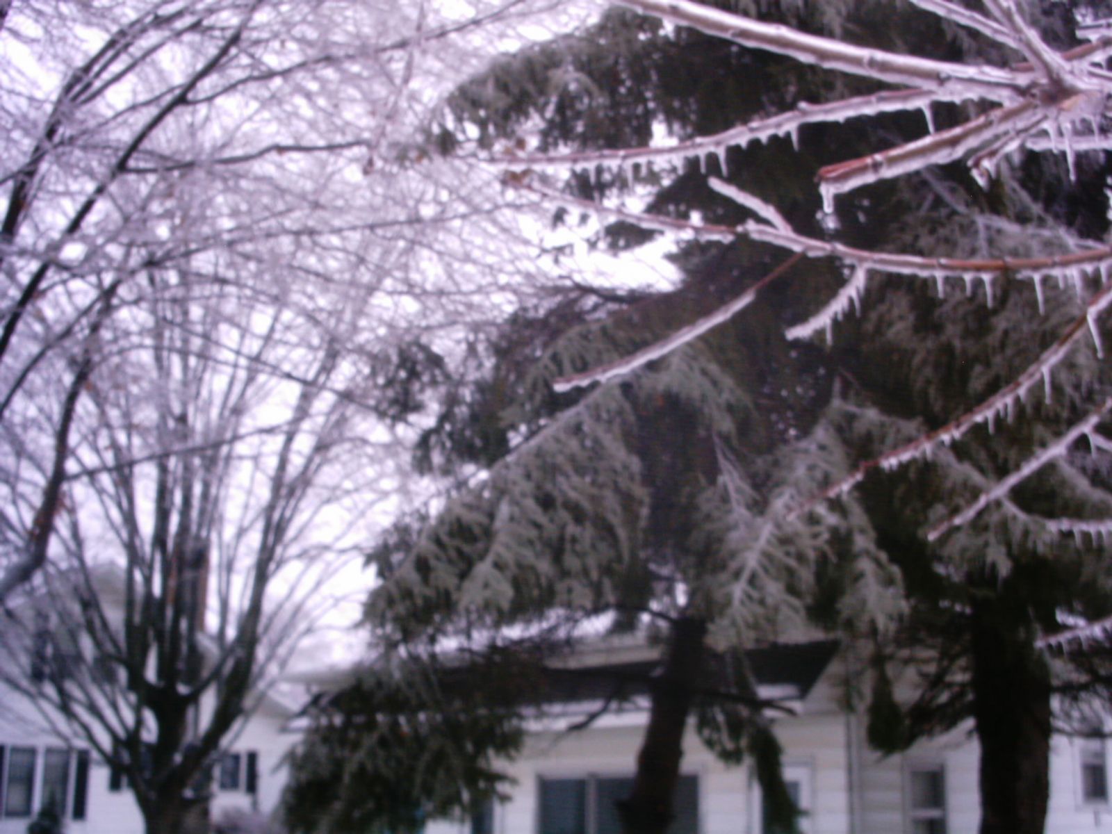 Ice accumulation Akron, IN