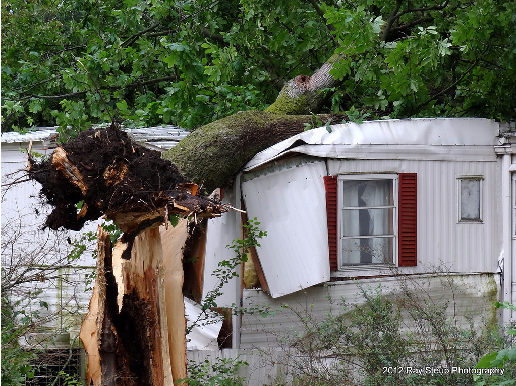 Fort Wayne tree down on mobile home