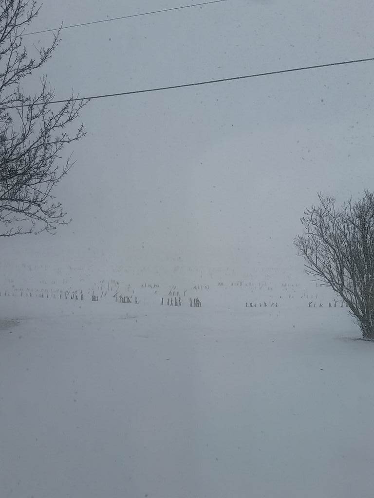 blizzard