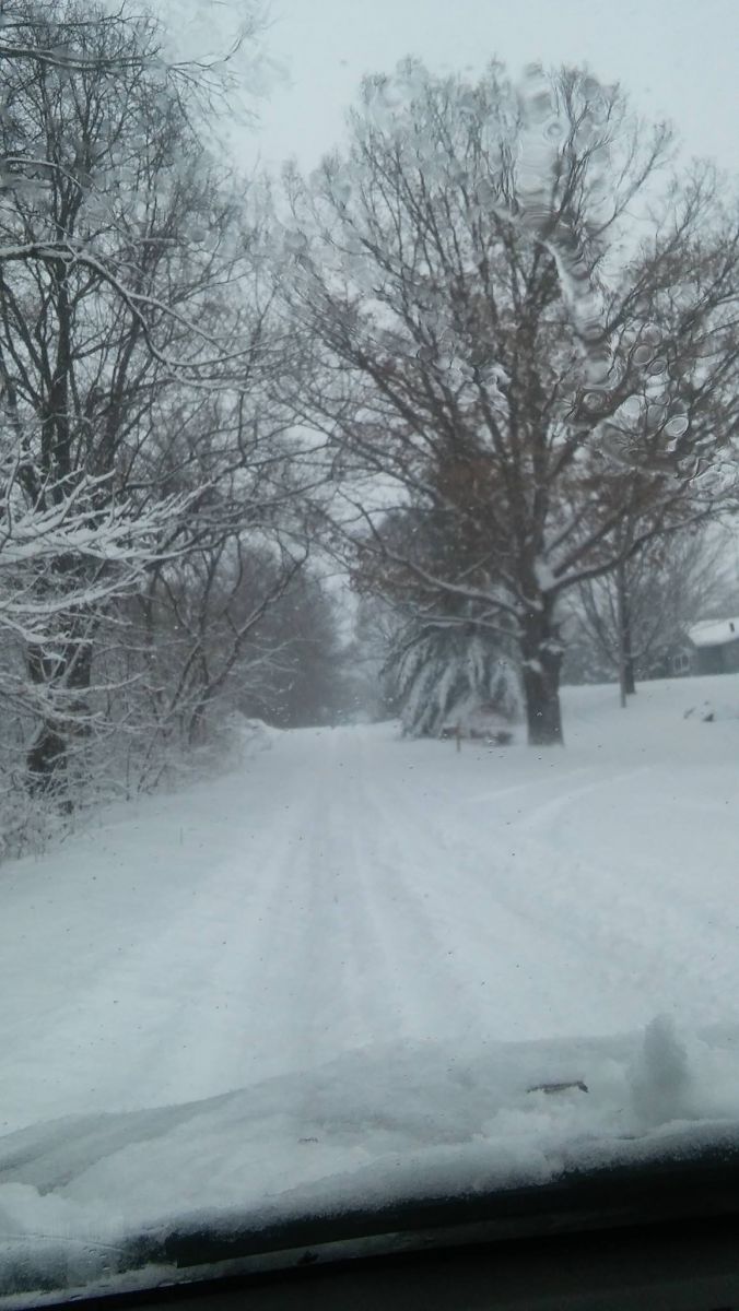 Scott Taylor - Hillsdale MI