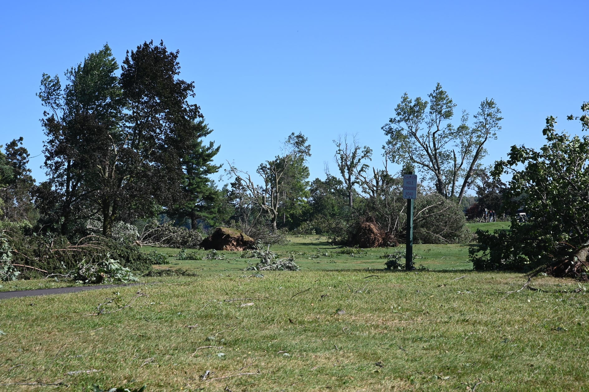 Environment