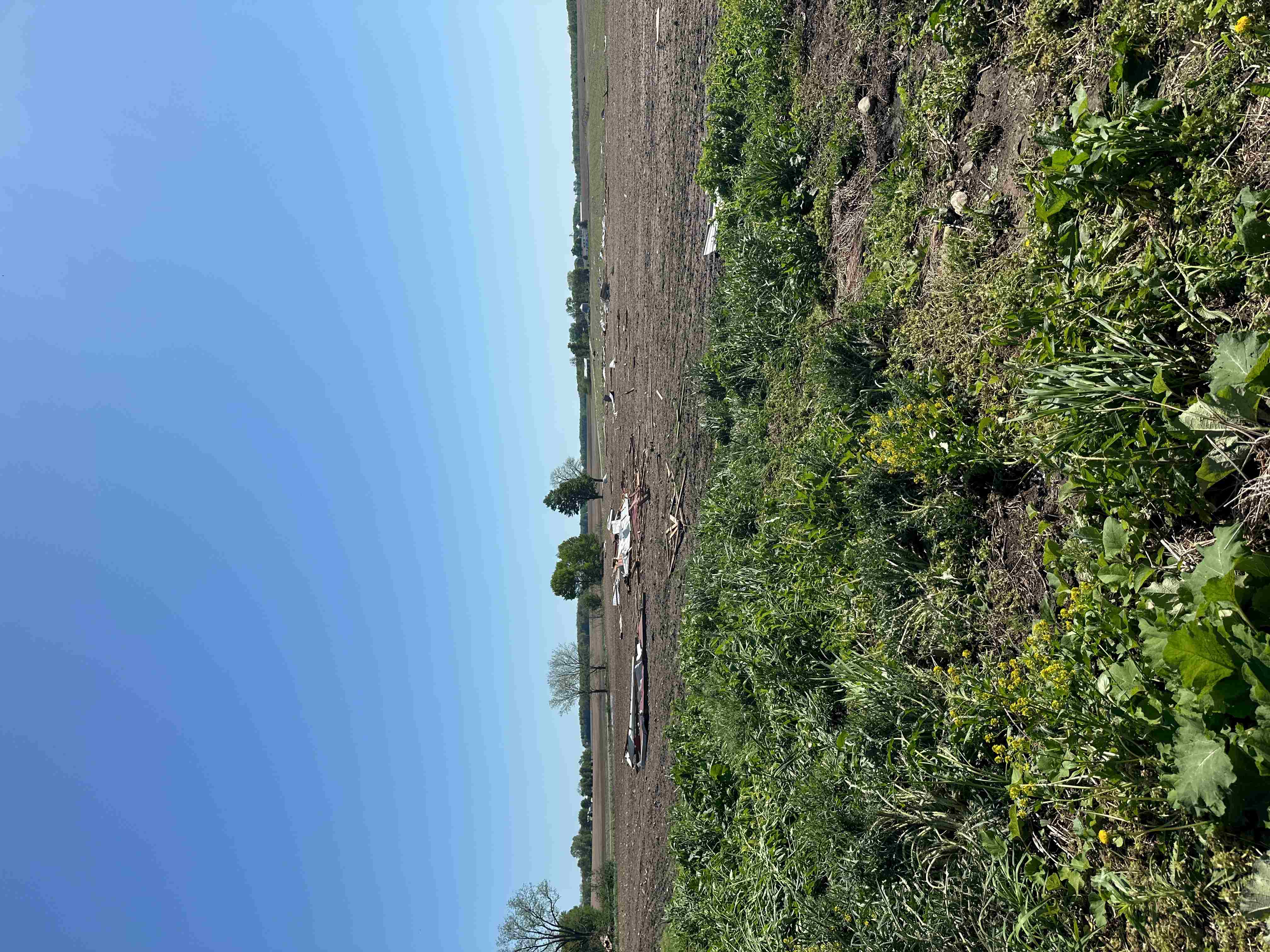 Radar/Photo