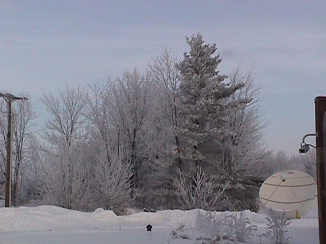 hoarfrost