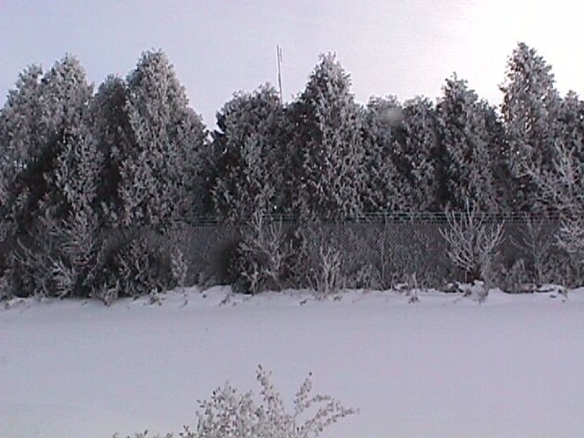 hoarfrost