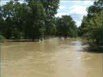 Eel River, June 1998.