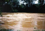Eel River, June 1998.
