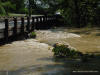 Water nearly up to the bridge deck