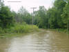 Pipe Creek flowing along a road