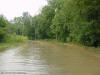 Pipe Creek flowing along a road