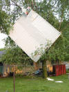 Portion of a truck garage from Monroe Grain 
      and Supply in Monroe, Indiana (Adams County) that ended up in a neighbor's 
      tree.  Photo courtesy Kim Hart, <i>Berne Tri-Weekly News</i>.