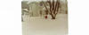 Blizzard of '78