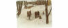 Blizzard of '78