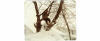 Blizzard of '78