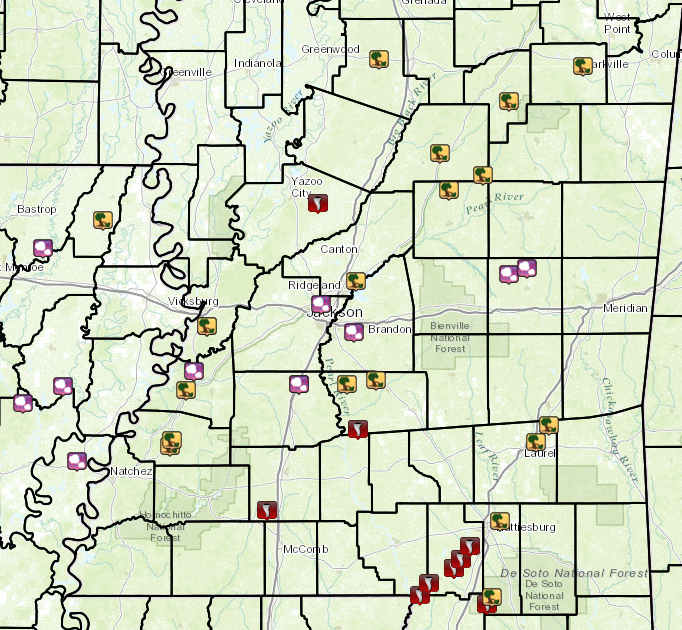 Local Storm Reports