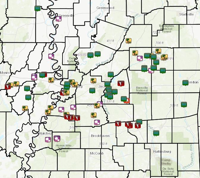Local Storm Reports