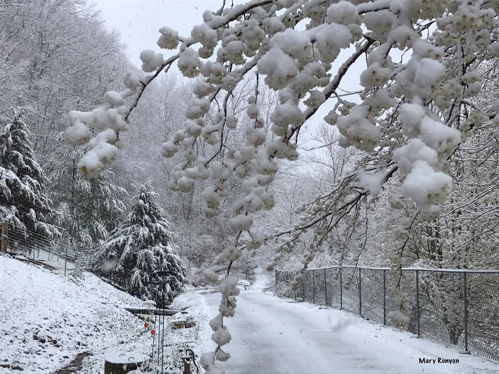 Heavy Snow in the Bluegrass and Big Sandy Regions picture