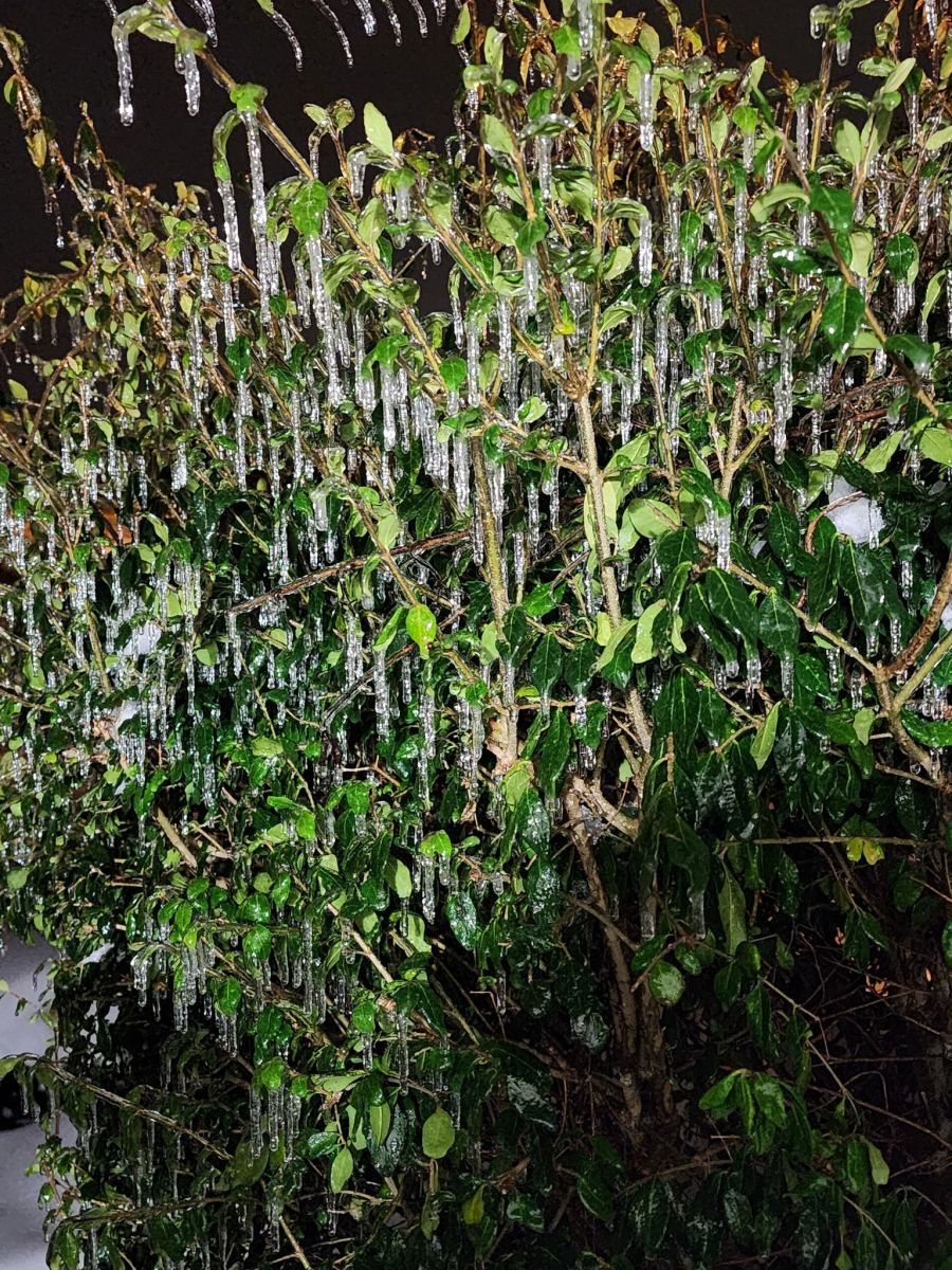 January 56, 2025 First Winter Storm Of 2025