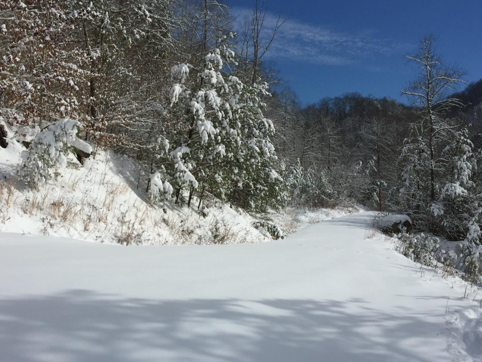 First Snowfall Climatology for Eastern Kentucky