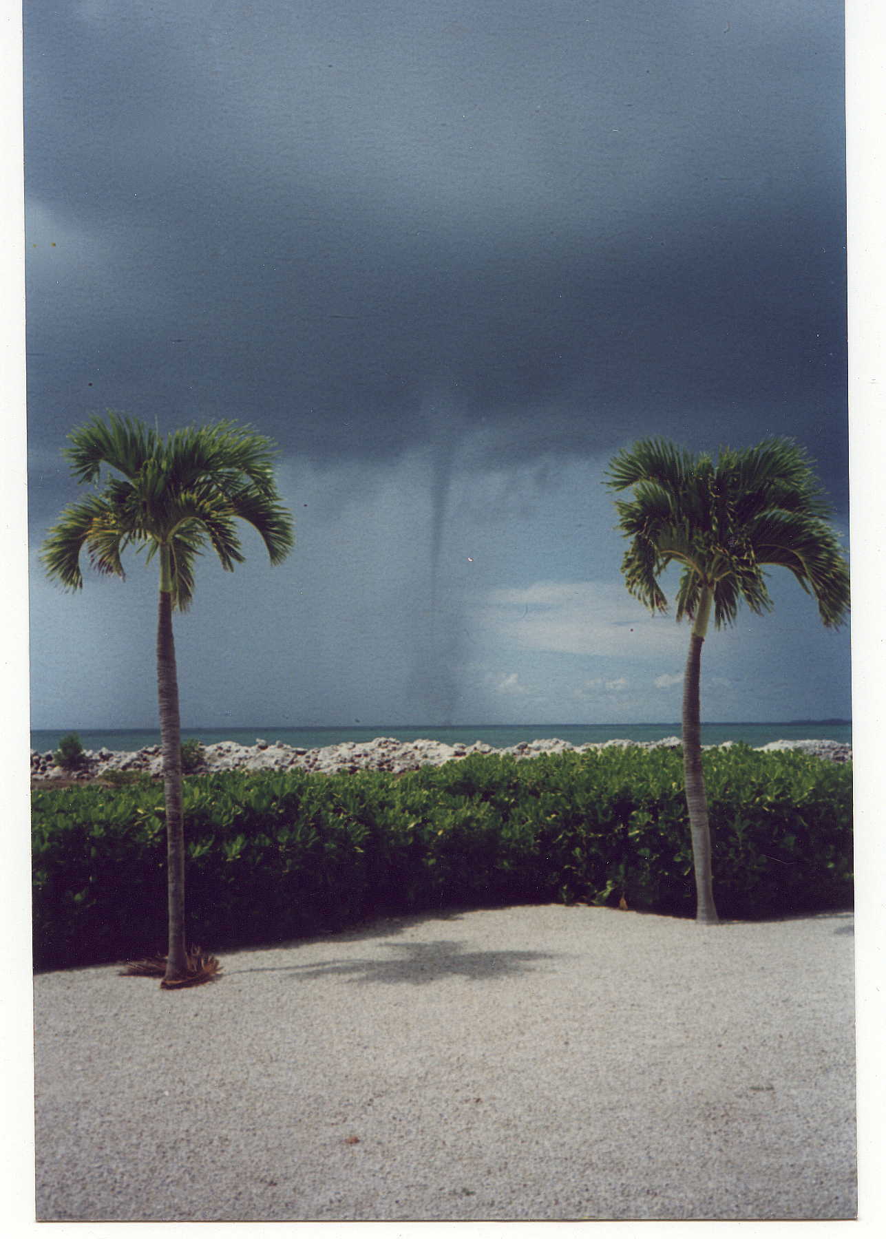Waterspout with Palms