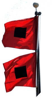 Hurricane Flags Image