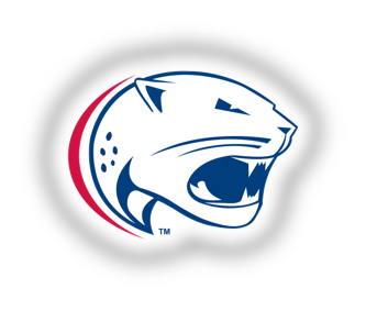 USA Logo