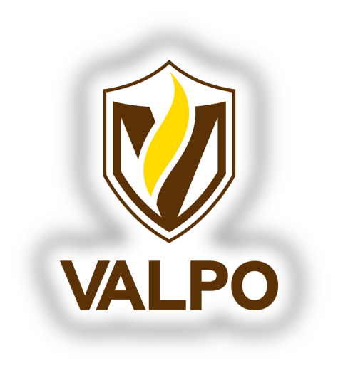 VP Logo