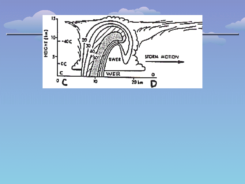 Slide 10