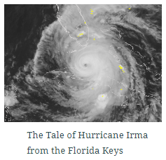 Thumbnail of Hurricane Irma StoryMap