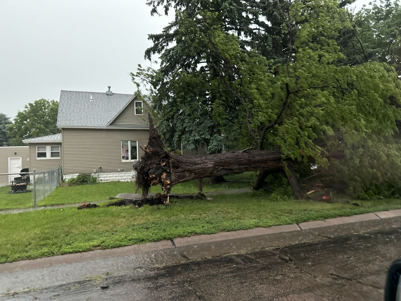 Wind Damage