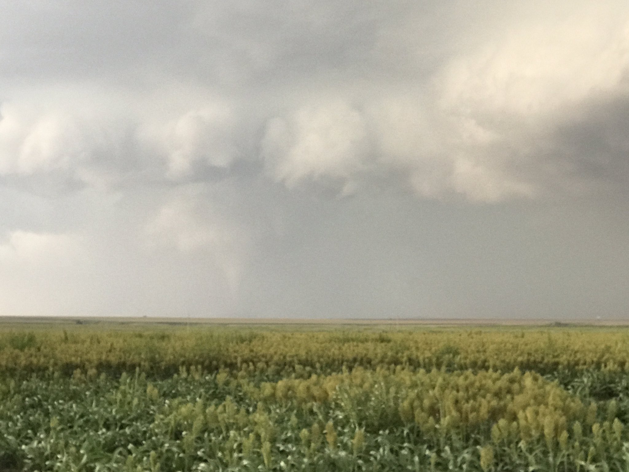 Radar/Photo