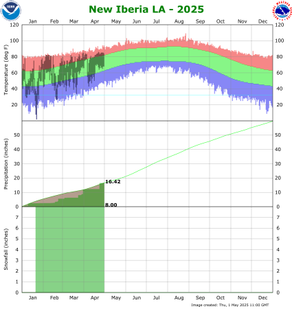 New Iberia temp/rain YTD image