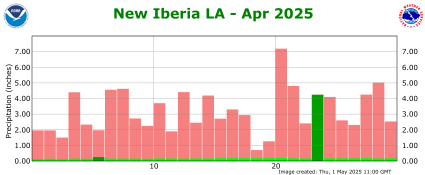 Precipitation plot for current month