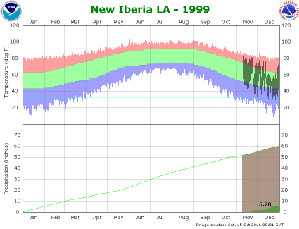 Temperature and Precipitation Plot for 1999