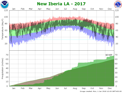 Temperature and precipitation plot for 2017