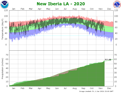 Temperature and Precipitation Plot for 2020