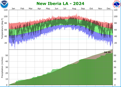 Temperature and precipitation plot for 2024