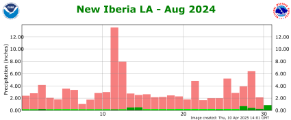 Precipitation plot for previous month