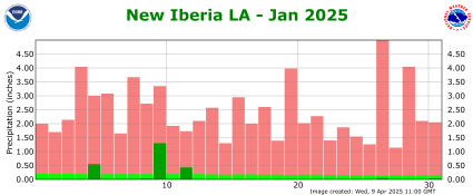 Precipitation plot for previous month