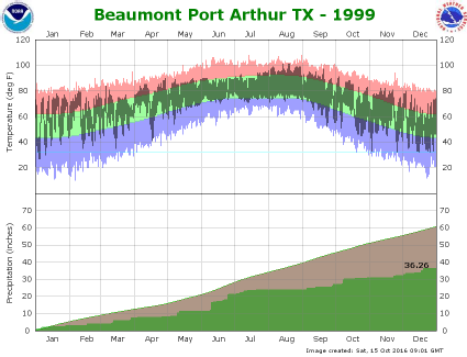 Temperature and Precipitation Plot for 1999