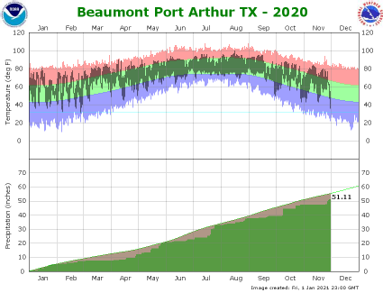 Temperature and Precipitation Plot for 2020